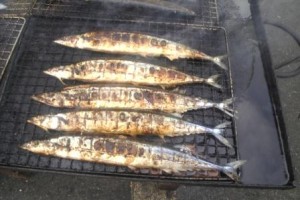 要介護者がいない？