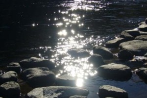 地域づくりセミナー開催のご案内