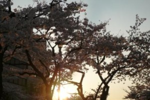 未来を切り拓く力