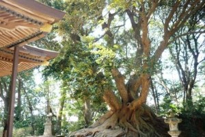 ４０代男の目標