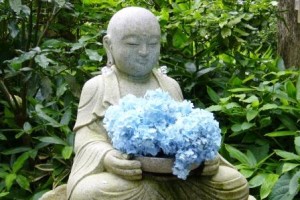 いのち輝く！！