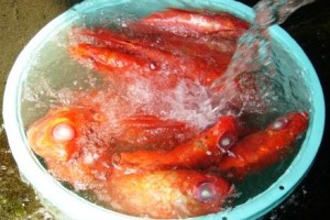 感受性を豊かに！！