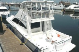 夢を語ろう・・・