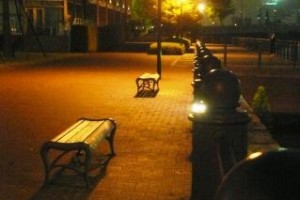 生み出していく力