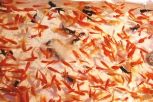 久しぶりの休日に・・・