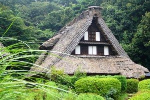 山からの来訪者