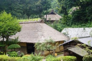 東京の今の姿を伝える