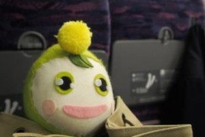 袖すり合うも多生の縁