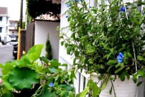 みま～もだからこそ！