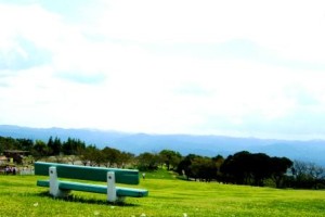 賭けてみたい・・・