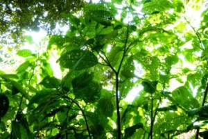 生み出されているもの