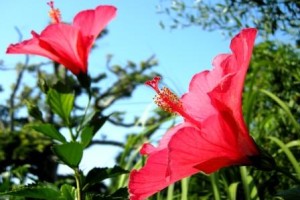 役者がそろった！！