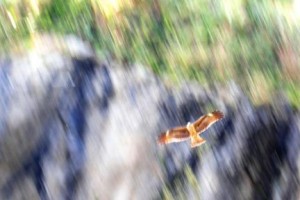 不動・不変のもの