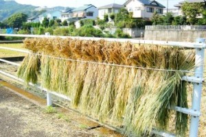 冬の澄んだ空気を感じて・・・