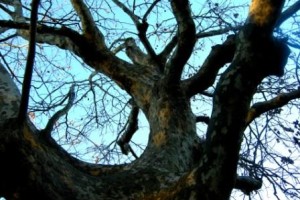 レールが足りない。