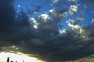 人との出逢いがあって、活動が生まれる