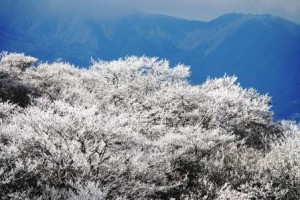 Ｋくんのその後のその後