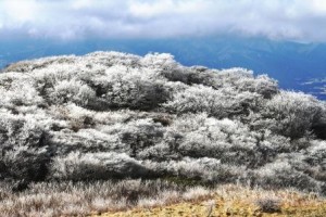 地域包括支援センタ－本来の姿