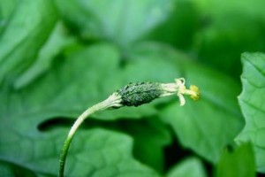 ネットワークはだれのため？