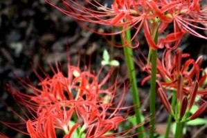 ワイン「澤登」！の続きの話し