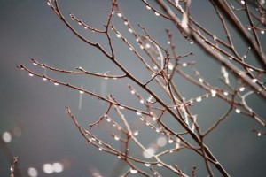 自己決定の過程