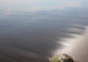 凛として・・・