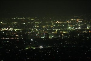 動じない・・・