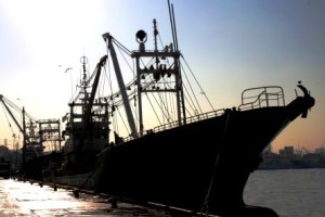 覚悟と、執着しないことと、潔さ・・・