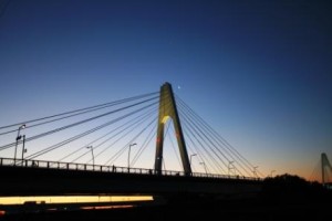 動き出している！