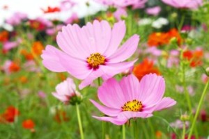 想いを大切に・・・