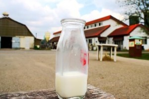 日常の中にある大切なもの（行政編）