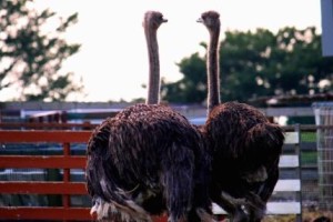 初の・・・・！