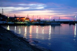 ちがって当たり前、ちがうからいい。