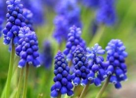 みんなが関わることに力を込める