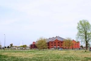 自分なら・・・