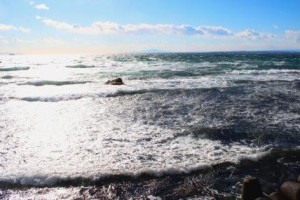 何かが芽生え始めている