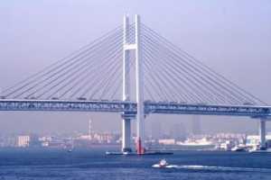 新規台帳登録１５０件増！