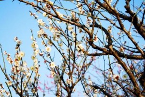 みんながいたから・・・・