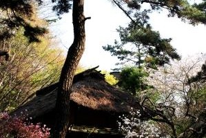 アメリカのオバマ？？？？？？