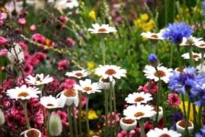 交流会　準備前夜祭！