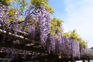 判断と、そして、決断と・・・・