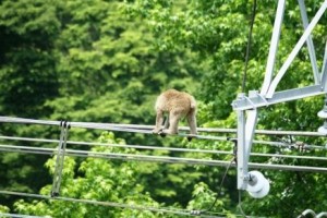 日常の関係性があって成り立つもの！