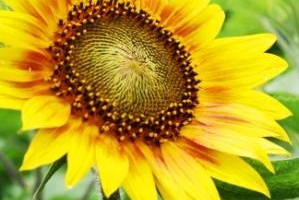 「大切！」と思い続けてくれること