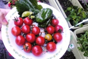 生命を、生きている今を、愛おしむ・・・