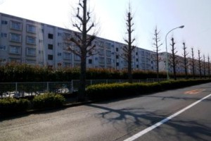 対等でいい・・・。対等　が　いい！