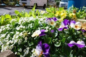 みま～もが考えるネットワーク理論①～組織編～