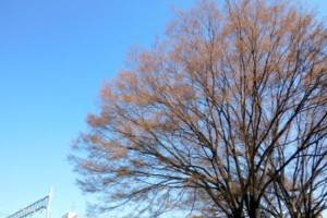 それぞれの場でそれぞれのかかわり！