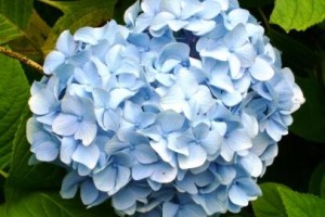 些細なことでも・・・