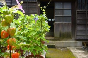 常識を突き抜ける