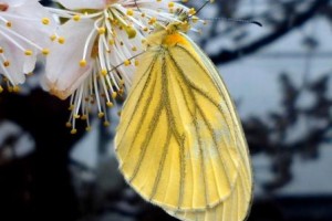 人に惚れ込む、人の努力に感じる